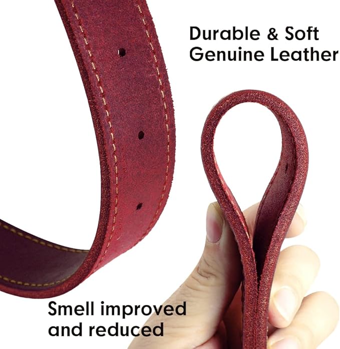 Didog Genuine Leather Dog Collars with Engraved Nameplate, Personalized Soft Leather Dog Collar with Custom ID Tag, Brown/Green/Red for Medium Large Dogs (L,Red)