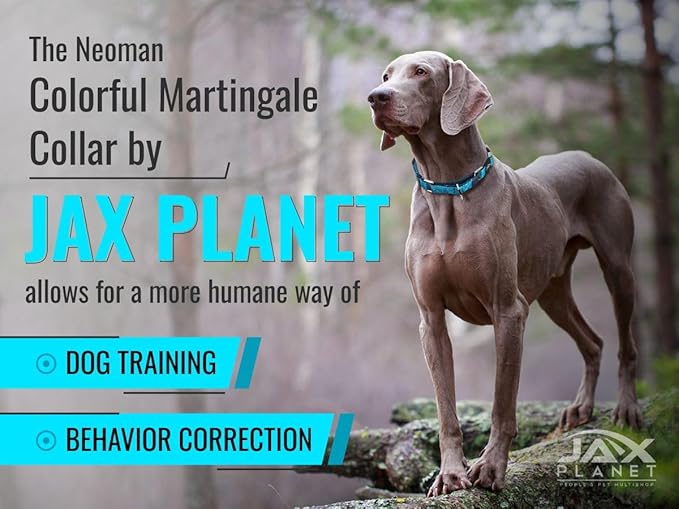 Orange Martingale Collar for Dogs - Heavy Duty Nylon Pet Collars for Escape-Free, No Pull Training & Walking with Alloy Metal Release Buckle & Reflective D Ring, One Time Adjustment, Safe & Secure, S