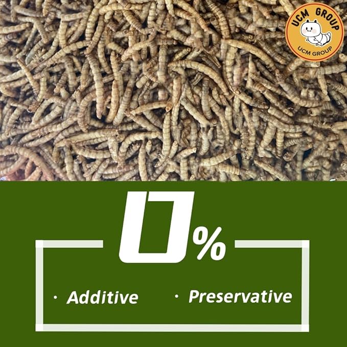 UCM Group 10LB Dried Mealworms for Wild Birds, Chickens, High Protein Organic Chicken Feed, 100% Non-GMO for Chickens, Ducks, Turtles and Reptiles