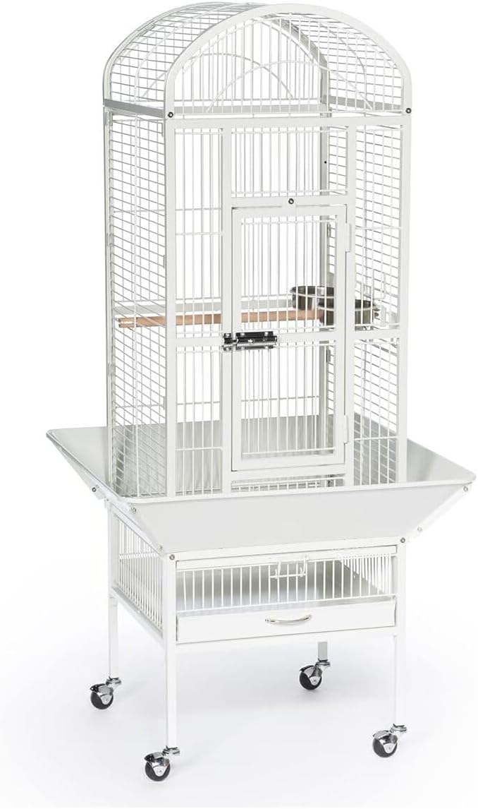 Renaissance Refinement Dome Top Cage with Sleek Nordic Design, Durable Construction, Spacious Interior, and Dome Top for Easy Access
