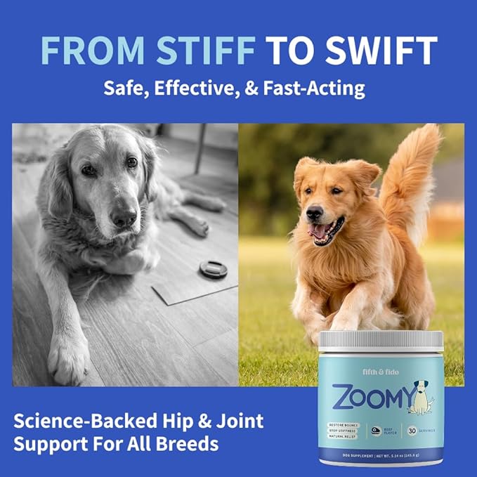 Dog Joint Supplement Powder with Glucosamine, Chondroitin & MSM – Hip & Joint Support for Mobility, Stiffness & Flexibility – Mushroom Blend with Lion’s Mane, Cordyceps & Reishi – Zoomy