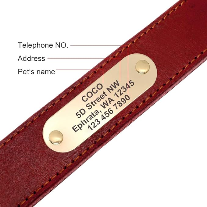 Didog Genuine Leather Dog Collars with Engraved Nameplate, Personalized Soft Leather Dog Collar with Custom ID Tag, Brown/Green/Red for Medium Large Dogs (L,Red)