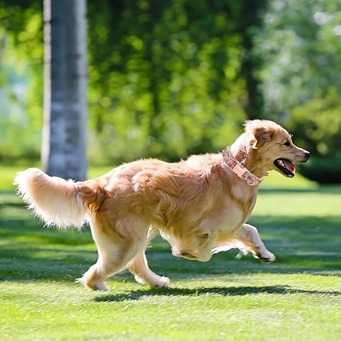 Unique style paws Dog Collar Metal Buckle Pink Rose Collar Flower Gift Durable Cute Collar for Small Medium Large Boys Girls Dogs