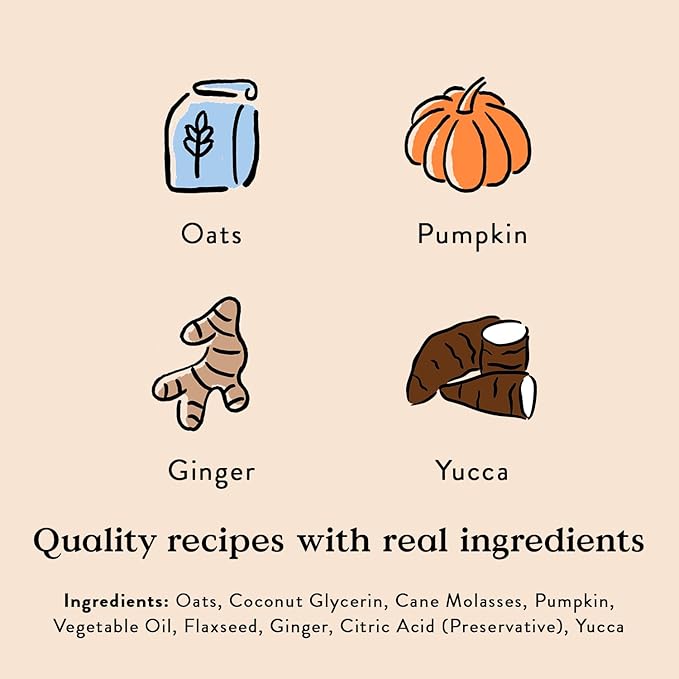 Bocce's Bakery Digestive Support Dog Treats, Wheat-Free Pumpkin Ginger, 6 oz Bag