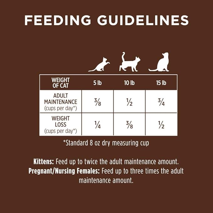 Instinct Original Dry Cat Food, Raw Coated Kibble, High Protein, Grain Free Recipe - Real Rabbit, 10 lb. Bag