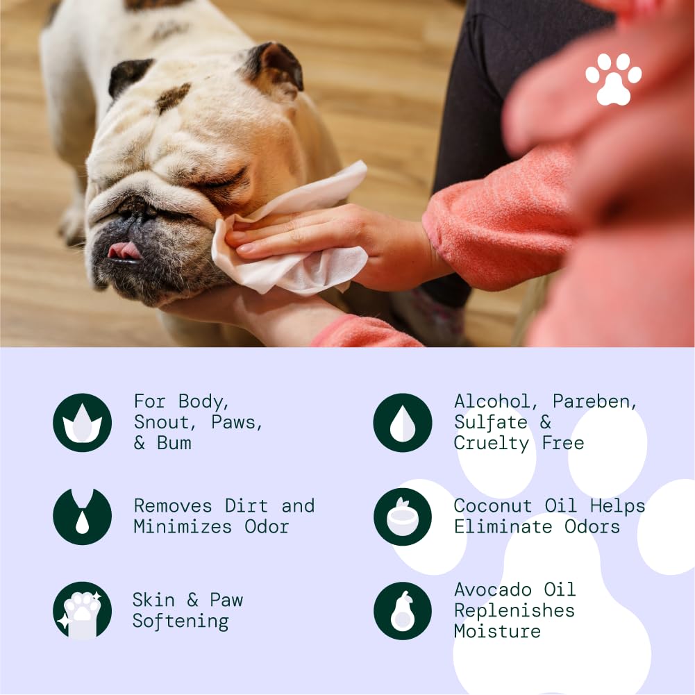 ALŌH Hypoallergenic | All-Natural | Multi-Purpose Pet Wipes, Unscented 50ct Wipes