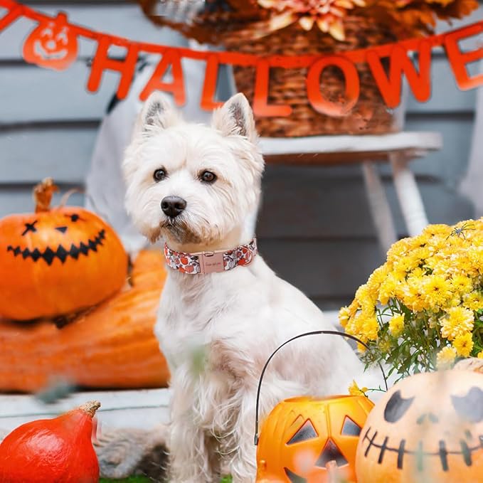 Unique style paws Thanksgiving Dog Collar Metal Buckle Collar for Autumn Winter Christmas for Small Medium Large Boys Girls Dogs