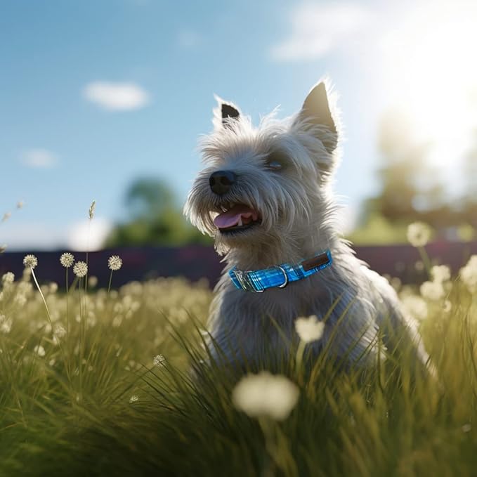 Unique Style Paws Dog Collar with Metal Buckle - Blue Plaid Collar Gift for Small, Medium & Large Dogs