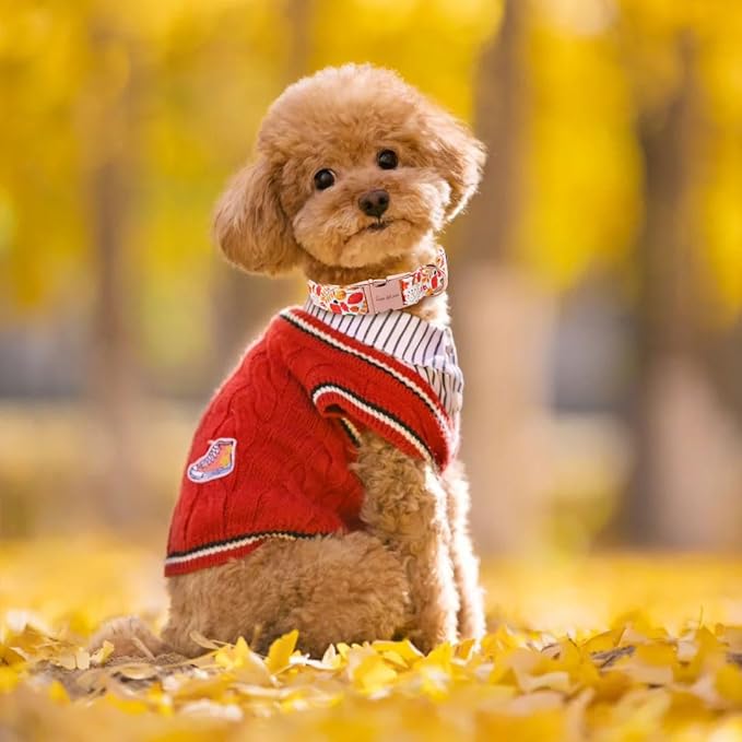 Unique style paws Thanksgiving Dog Collar Metal Buckle Collar for Autumn Winter Christmas for Small Medium Large Boys Girls Dogs