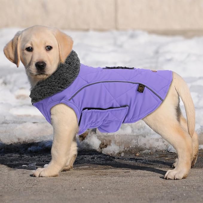 EMUST Thick Winter Dog Coat for Medium Boys - with Harness Hole for Cold Weather - Purple, M