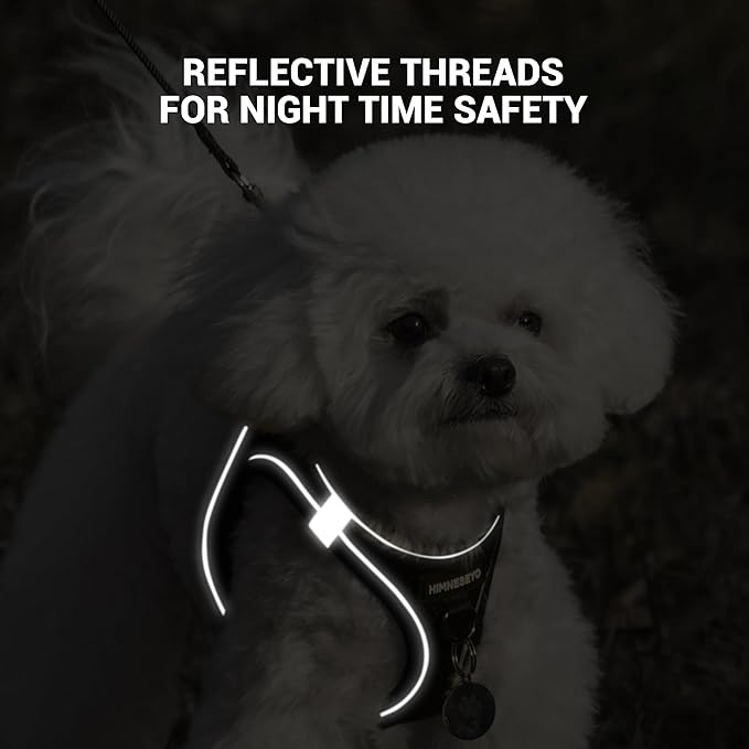 Dog Harness and Leash Set, Dog Harness for Dogs No Pull, No-Chock Step-in Reflective Breathable Lightweight Easy Walk Vest Harnesses with Safety Buckle for Small Medium Dogs, Cats (Black, XXS)