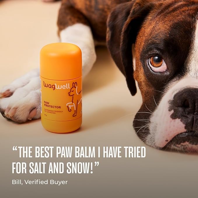 WagWell Paw Protector - Vet-Approved & Microbiome-Friendly Dog Paw Pad & Nose Balm Made from Natural Ingredients to Hydrate, Condition & Protect Pet Paws
