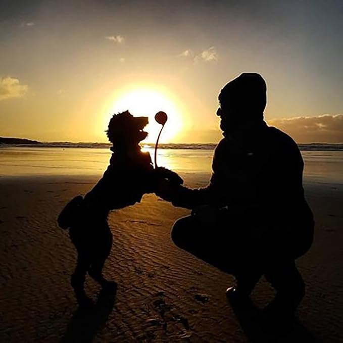 Chuckit! Dog Ball Launcher - Junior 18" with Medium (2.5"), Dog Fetch Ball Thrower, For Dogs 20-60 Pounds, Made in USA