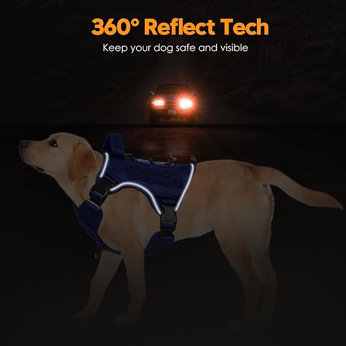 Heavy-Duty Tactical Dog Harness for Large Dogs, No Pull Adjustable Reflective Pet Vest with Molle System, K9 Military-Grade Control for Service Training, Outdoor & 10+ Breeds, Dazzling Blue, Medium
