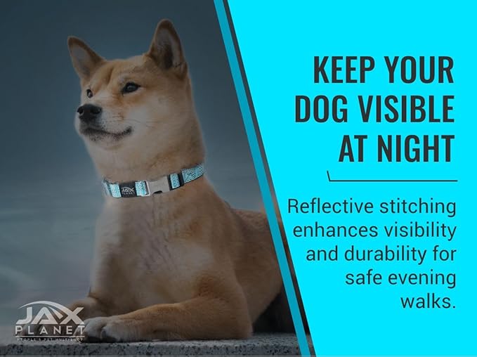 Blue Martingale Collar for Dogs - Heavy Duty Nylon Pet Collars for Escape-Free, No Pull Training & Walking with Alloy Metal Release Buckle & Reflective D Ring, One Time Adjustment, Safe & Secure, M