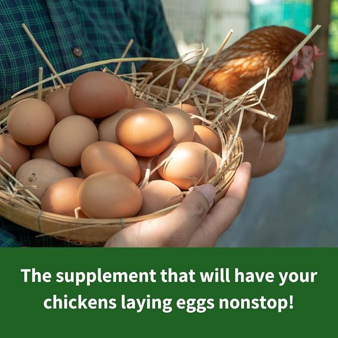 GrubTerra Golden Dried Black Soldier Fly Larvae - Premium Supplement to Increase Egg Production for Hen Treats, Bird Feed, Chicken Feeder, Pet Bird Food, and Wildbird Feed, Never from China! (10lb)