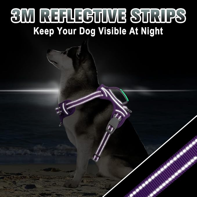 BARKBAY No Pull Dog Harness Large Reflective Dog Harness with Front Clip and Easy Control Handle for Walking Training Running with ID tag Pocket(Purple,XL)