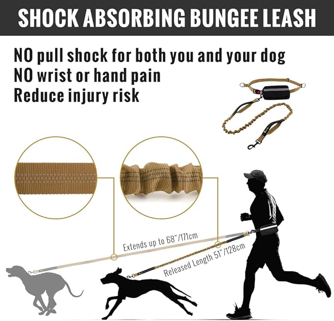 Plutus Pet Hands Free Dual Handle Retractable Bungee Leash with Reflective Stitches, Adjustable Waist Leash for Dog Walking, Running, Jogging, Medium Large Dogs