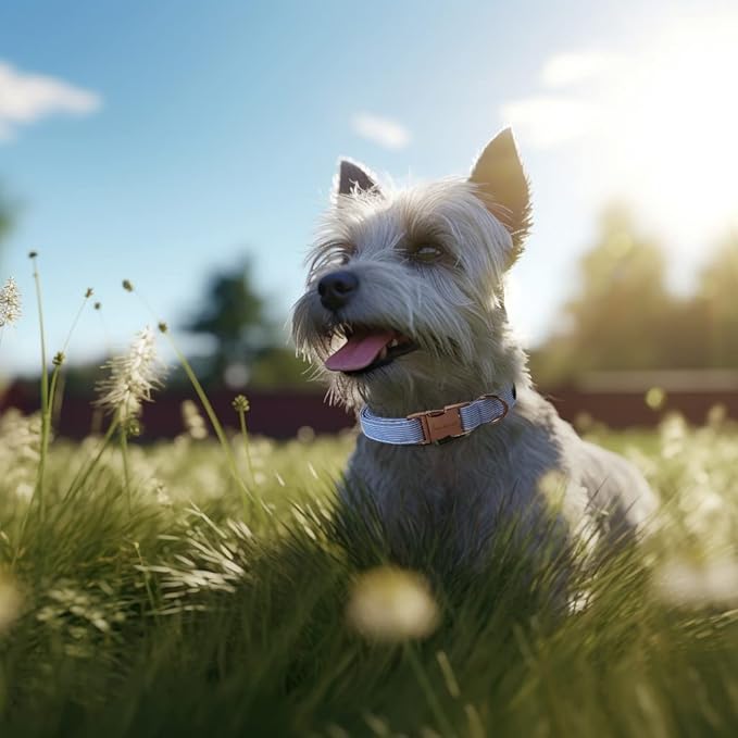 Unique style paws Dog Collar Metal Buckle Blue Stripe Collar Gift Durable Cute Collar for Small Medium Large Boys Girls Dogs