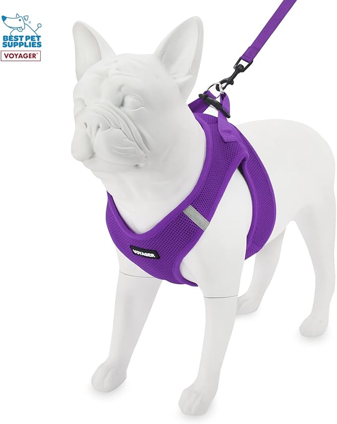 Voyager Step-in Air All Weather Mesh Harness and Reflective Dog 5 ft Leash Combo with Neoprene Handle, for Small, Medium and Large Breed Puppies by Best Pet Supplies - Leash Harness (Purple), L