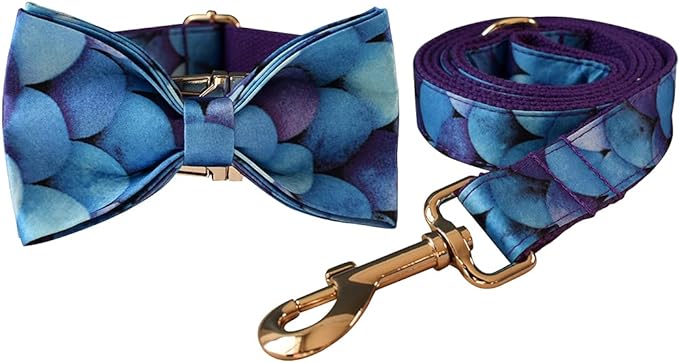 Custom Dog Collar with Names and Phone Number Engraved, Puppy Tags Personalized for Small Medium Large Pets