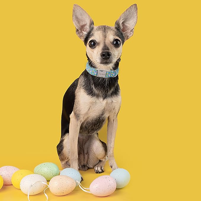 Unique style paws Dog Collar Metal Buckle Collar for Easter Gift Pink Ear Rabbit Carrot Durable Cotton Collar for Small Medium Large Boys Girls Dogs