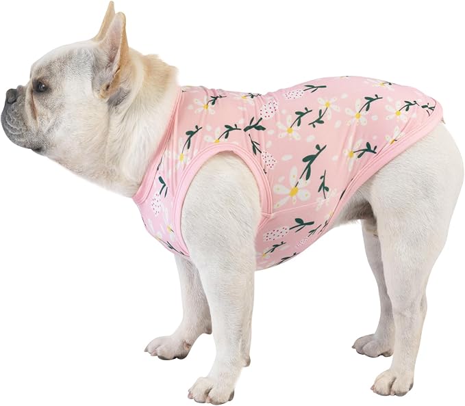 CuteBone Dog Shirts 2-Pack Soft Pet Clothes Breathable Summer Vest for Small Puppy and Stretchy Cat Apparel 2BX06S