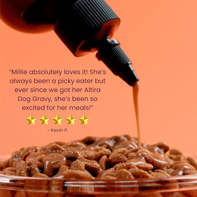 Everyday Dog Gravy Bacon – Premium Wet Dog Food Gravy Toppers for Dry Food – Tasty & Nutritious Dogs Gravy with Essential Vitamins and Supplements – Hip and Joint Supplement