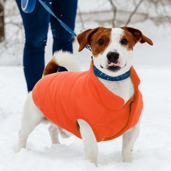 ASENKU Dog Winter Coat - Waterproof Windproof Dog Jacket, Warm Snowproof Doggie Puffer Vest for Cold Weather, Lightweight Snow Coats for Small Medium Large Dogs (Orange, XL)