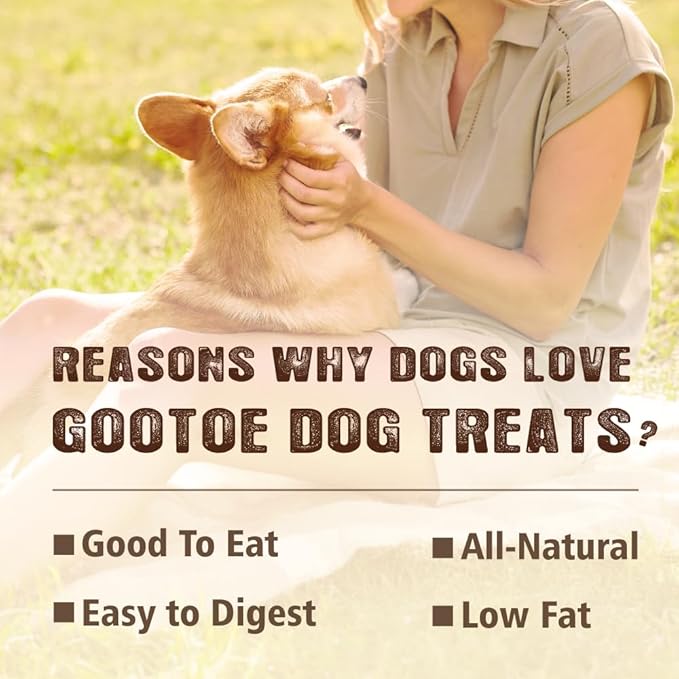 Gootoe Soft Turkey Tendon Stirip with Pumpkin 1 lb, Natural Chewy Snack, USA-Sourced Turkey Tendon, Premium Training Chew, Reseal Value Bag, Ideal for Small & Senior Dogs, Jumbo Pack