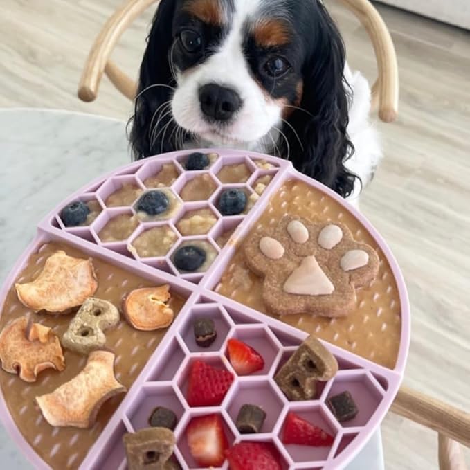 BUDDY BUDDER Beef Broth, 100% Natural Dog Peanut Butter, Peanut Butter Treat, Made in USA (17oz)