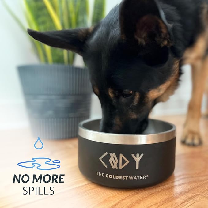 Coldest Dog Bowl - Anti Rust Metal, Non Slip, 3 Layers Insulated Stainless Steel Dog Bowls - Spill Proof & Heavy Duty - Water Bowl for Dogs, Cats & Pets, Dish Washer Safe (21 oz, Terraform Green)