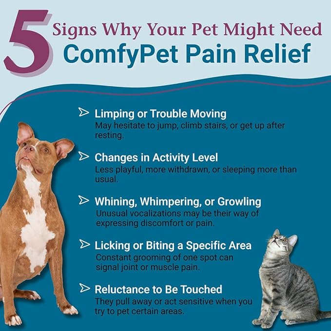 PetAlive ComfyPet Pain Relief for Dogs & Cats – Natural Homeopathic Supplement for Pet Joint & Mobility Support – 2 fl oz Drops – Made in USA