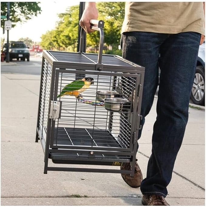 Artisanal Artistry Bird Cage with Handcrafted Design, Intricate Details, Spacious Interior for a Stylish and Comfortable Home Black/Small