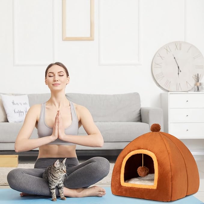 Cat Bed Cave for Indoor Cats,Cat House Tent Bed with Removable Washable Cushioned Pillow, 2-in-2 Kitten Beds for Indoor Kittens,Pet Bed