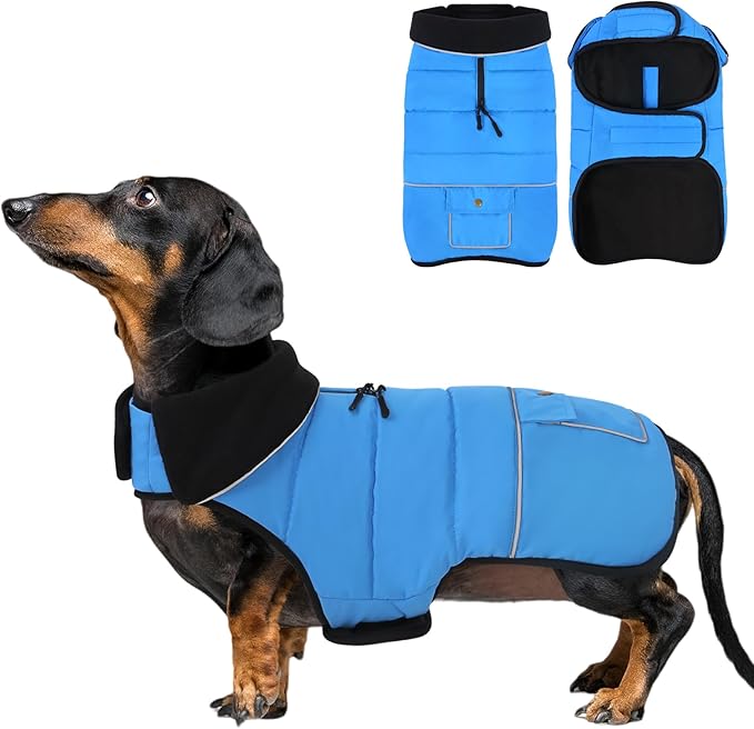 Dog Coat, Small Dog Jacket, Windproof Dogs Puffer Jacket, Fleece Lined Warm Dogs Winter Coat with Harness Hole (Blue S)