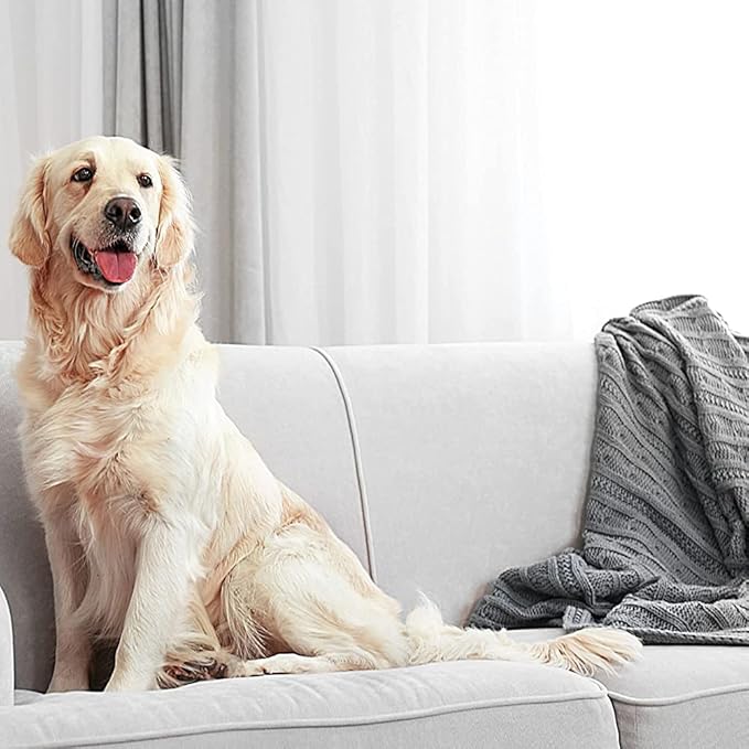 Enforcer Flea Killer for Carpet - Ocean Breeze Fragrance - 20 oz (Case of 12) EFKOB203 - Kills Fleas, Ticks, Lice, Ants, Silverfish, Roaches and More