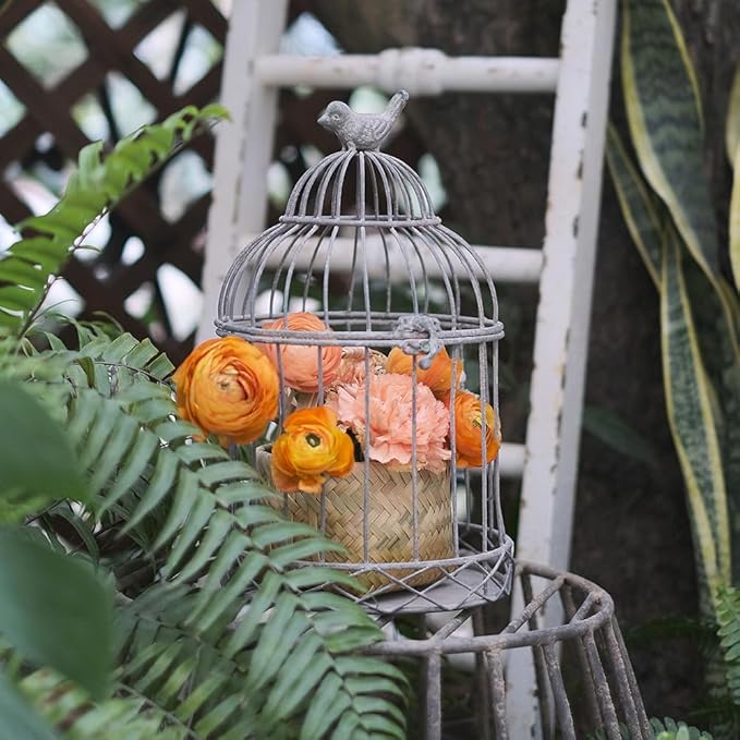 Rustic Vintage Birdcage Planter Holder Farmhouse Distressed Decor Metal Iron Round Plants Stand with Latch Lock Closure for Wedding Garden Patio Indoor Outdoor Home Table Centerpiece Decorations