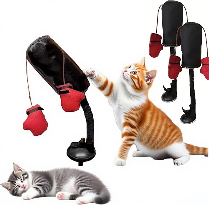 cat Boxing Gloves Toy, Boxing cat Toys, Interactive Kitten Toys Punching Bags, Punching Bag Games Gym (2 Pieces)