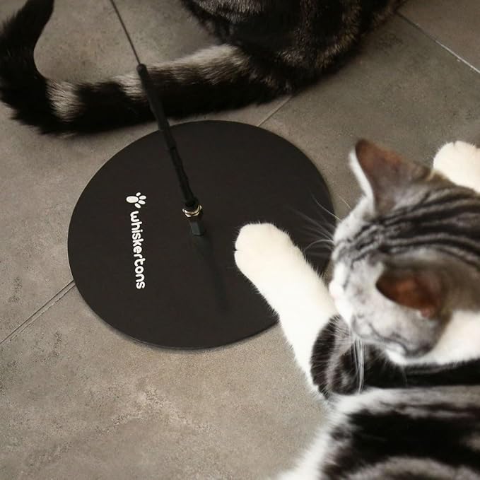 Weighted Base (Interactive Bird Simulation Cat Toy)