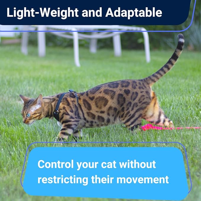 Houdini™ Escape Proof Kitten Harness and Leash Set by OutdoorBengal – Turquoise, Small Cat Harness for Walking