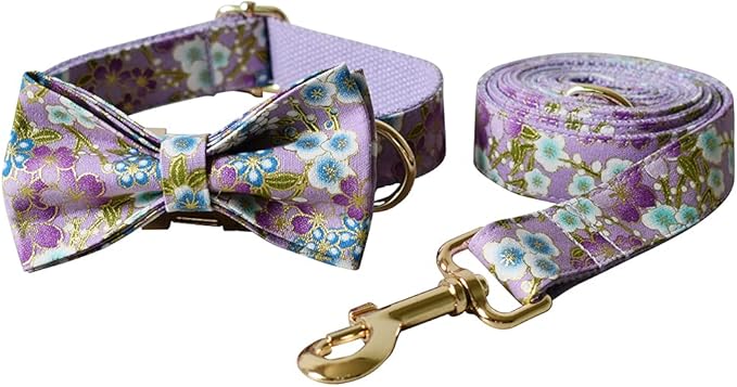 Custom Dog Collar with Names and Phone Number Engraved, Puppy Tags Personalized for Small Medium Large Pets