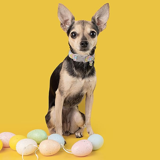 Unique style paws Easter Day Dog Collar Plastic Buckle Collar with Pendant Blue Sports Rabbit Ball Egg Puppy Collars Gift for Small Medium Large Boys Girls Dogs