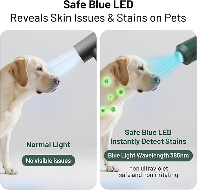 Dog Cat Hair Dryer,Professinal Double Force Grooming Blower Dryer for Medium/Small Pets,IEC & UL Certificated