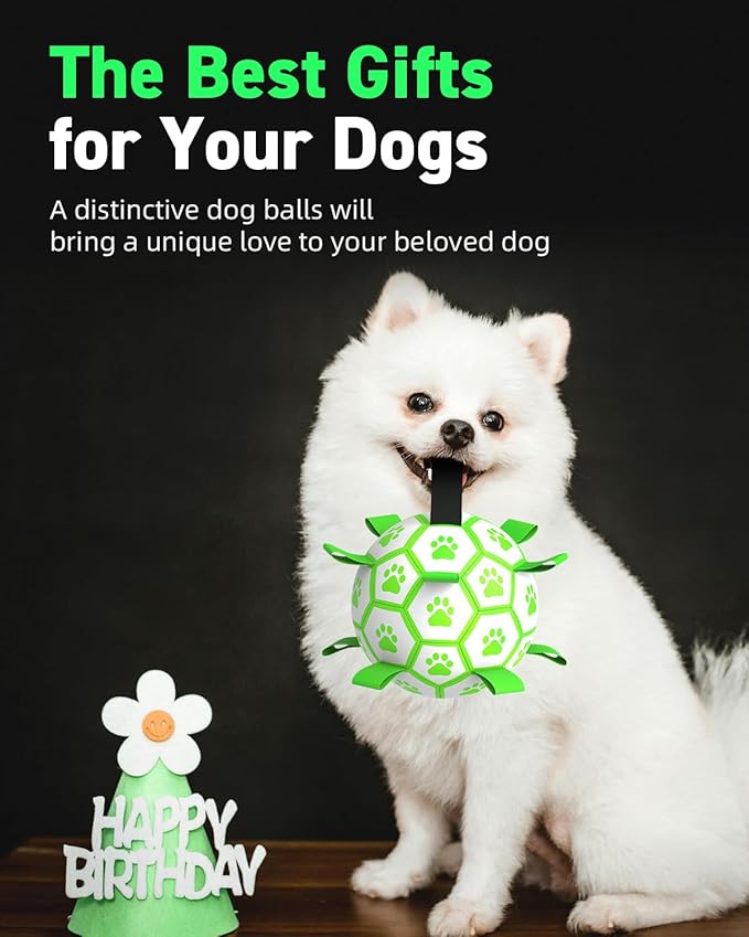 QDAN Premium Glow in The Dark Dog Toys, Dog Ball with Straps, Soccer Ball for Dogs, Outdoor Dog Toys, Pet Birthday Toys, Puppy Essentials for Small to Medium (6Inch)