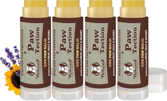 Natural Dog Company PawTection Dog Paw Balm, 4 Pack, Protects Paws from Hot Surfaces, Sand, Salt, & Snow, Organic, All Natural Ingredients (0.15 oz Travel Stick) X 4