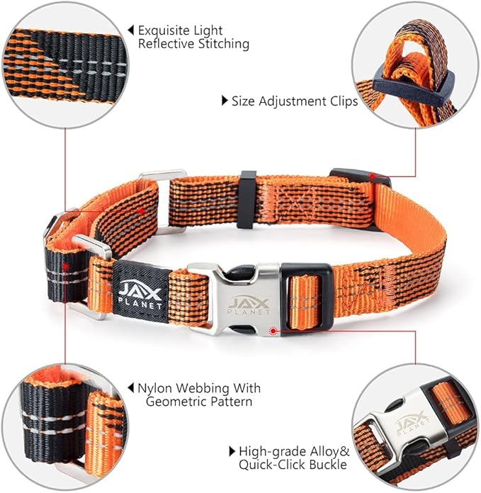 Orange Martingale Collar for Dogs - Heavy Duty Nylon Pet Collars for Escape-Free, No Pull Training & Walking with Alloy Metal Release Buckle & Reflective D Ring, One Time Adjustment, Safe & Secure, M