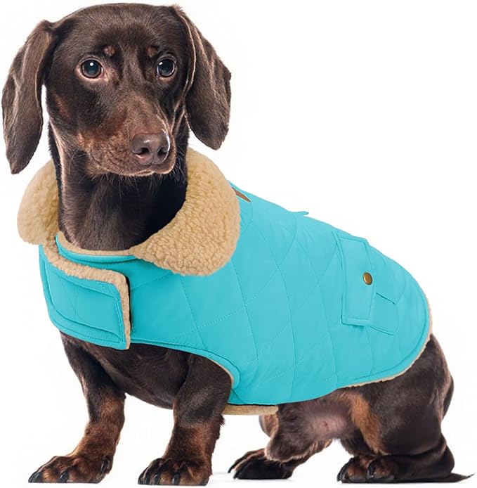 Winter Coat for Medium Dogs, Dog Plaid Jacket, Pets Coat for Cold Weather, Windproof Warm Garments, Pet Thickened Outfits Indoor Outdoor, Blue M