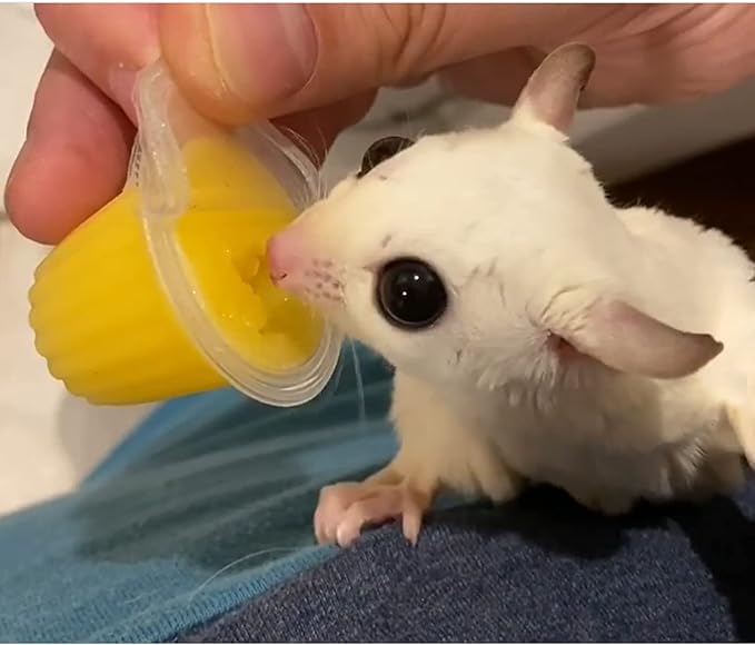 Nectar Pods (Mango) - Calcium-Fortified Jelly Fruit Treat - Sugar Gliders, Marmosets, Squirrels, Parrots, Cockatiels, Parakeets, Lovebirds, Conures, Hamsters, Day Geckos, Kinkajous & Other Small Pets