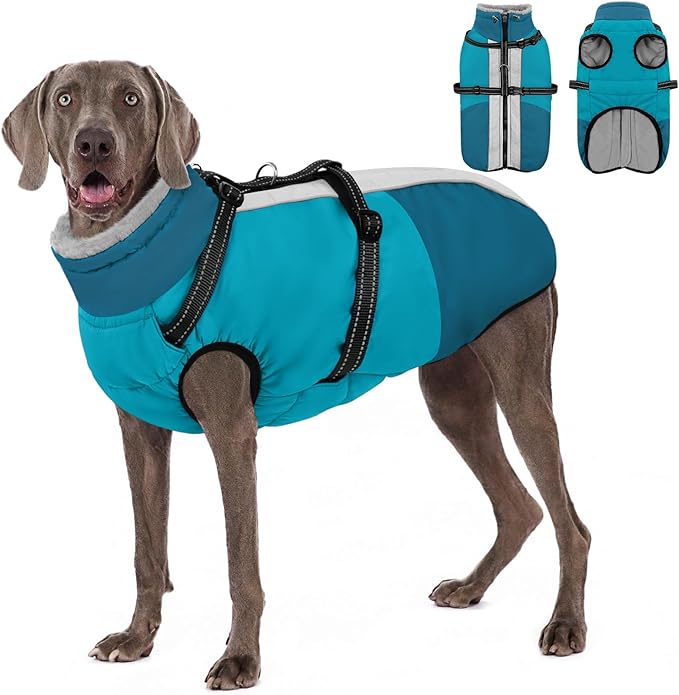 AOFITEE Dog Coats for Large Dogs, Waterproof Dog Winter Jacket with Harness Built in, Warm Large Dogs Coat with Fleece Lined, Zip Up Pets Jackets for Golden Retriever, Weimaraner, Turquoise 2XL